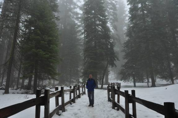 Caminhando em circuito cheio de sequoias gigantes, no Sequoia National Park,  na Califórnia - EUA